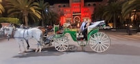 Paseo en Calesa 100 Dirham