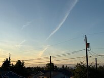 View of the harbor from the deck