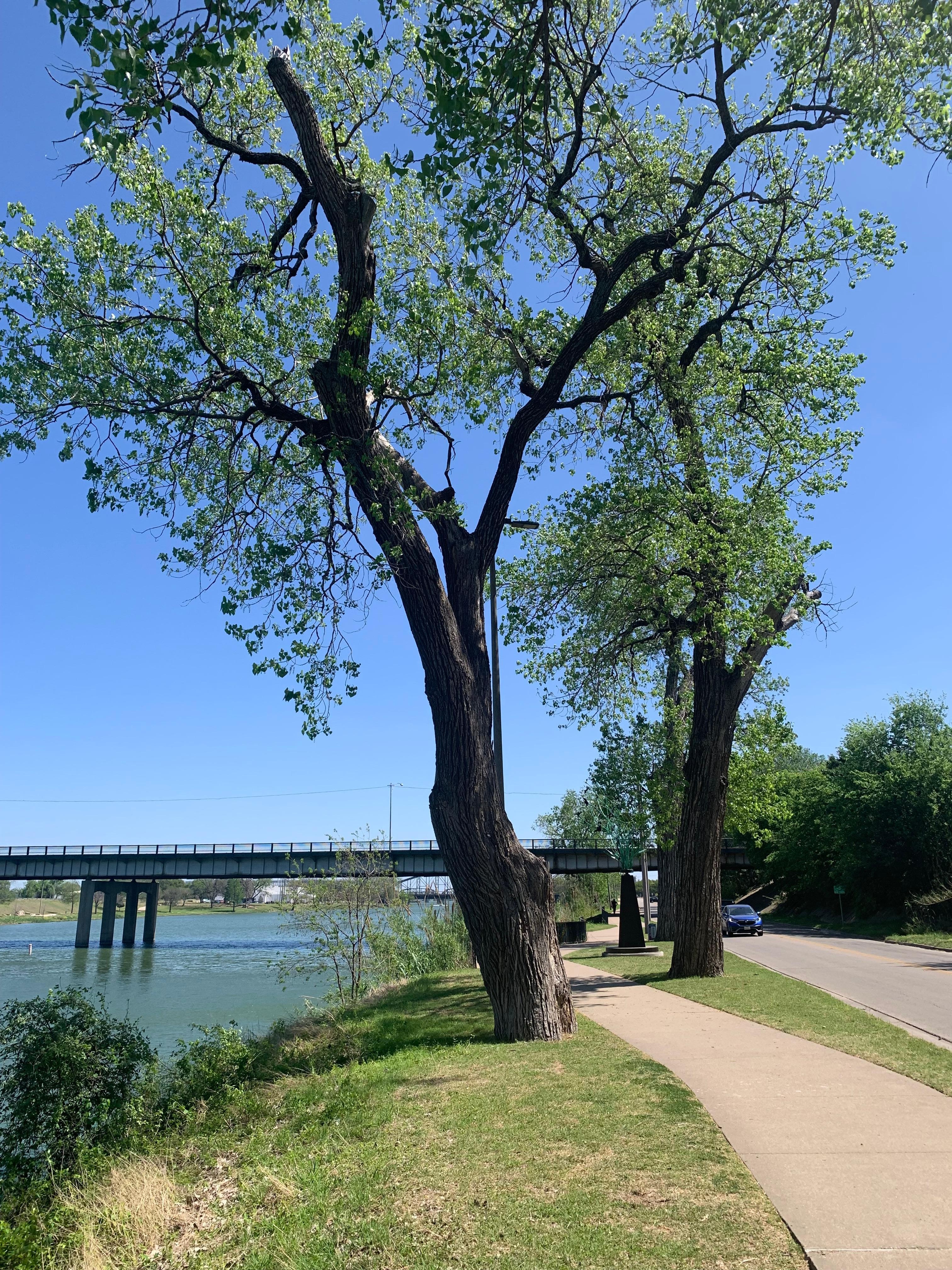 Brazos River Trail