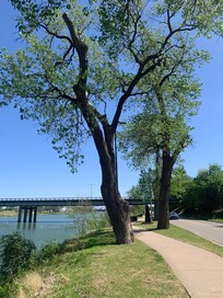 Brazos River Trail