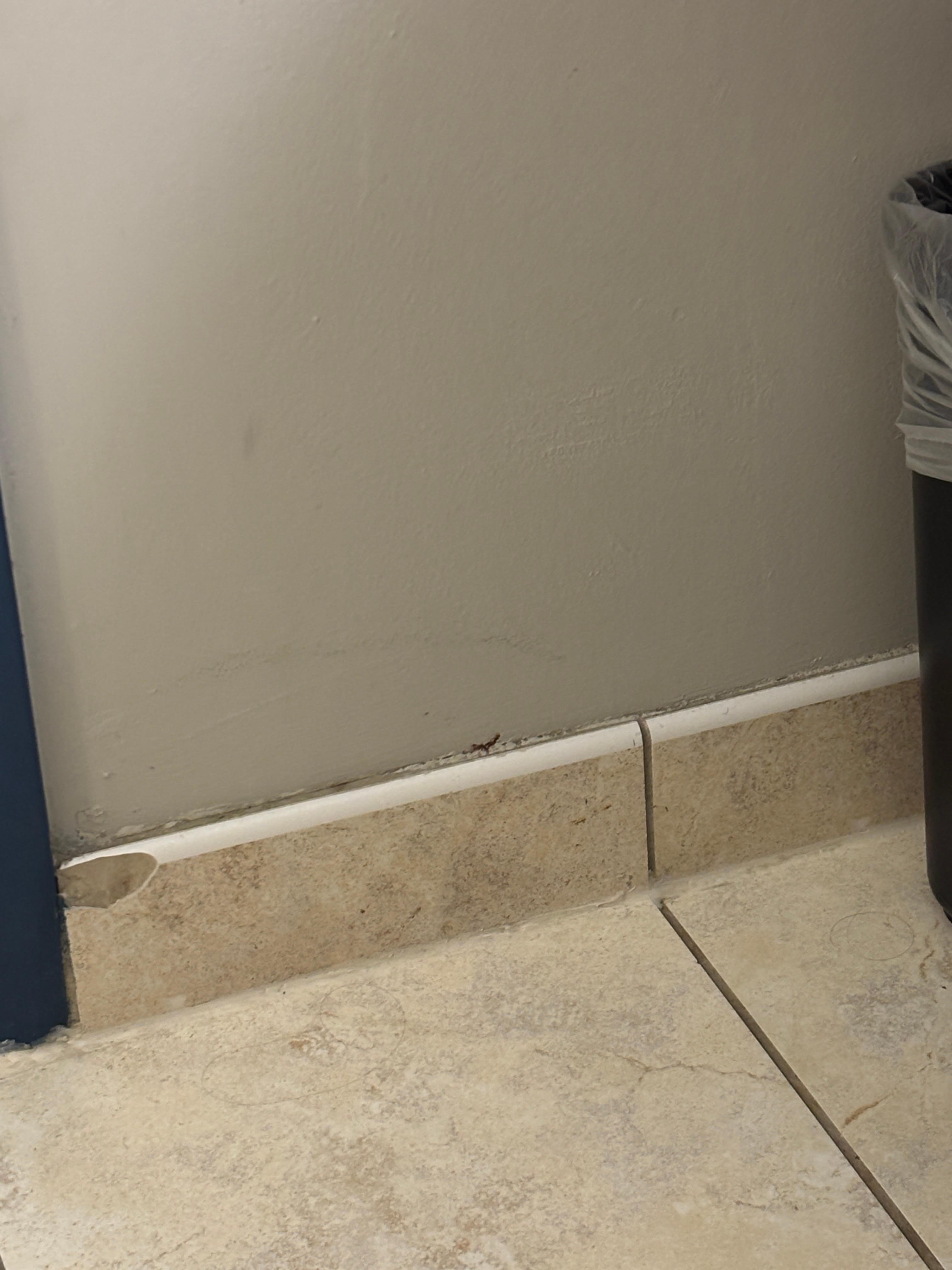 Wall and tile damage in bathroom 