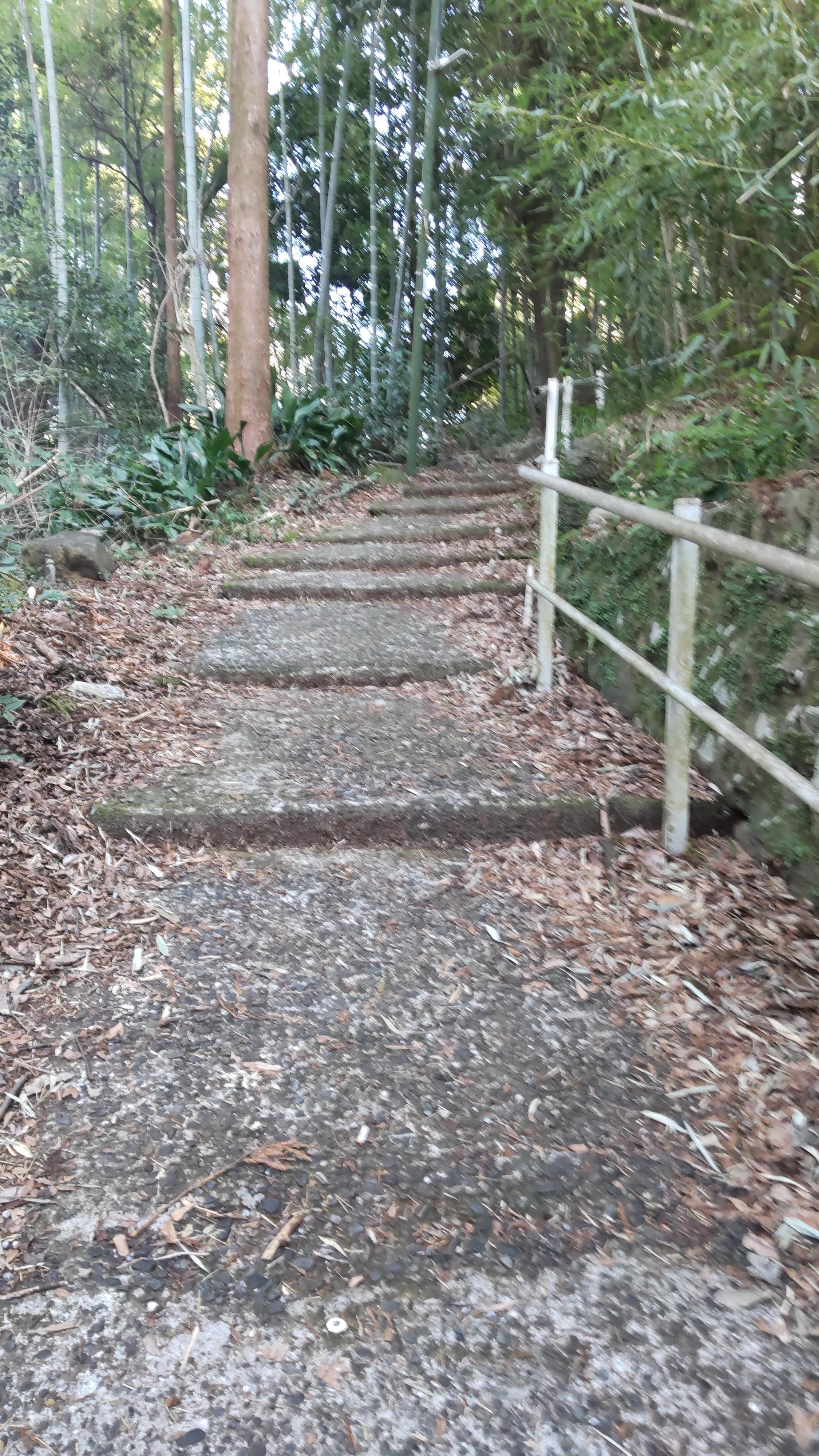 川沿いから宿まではここを登るとすぐ