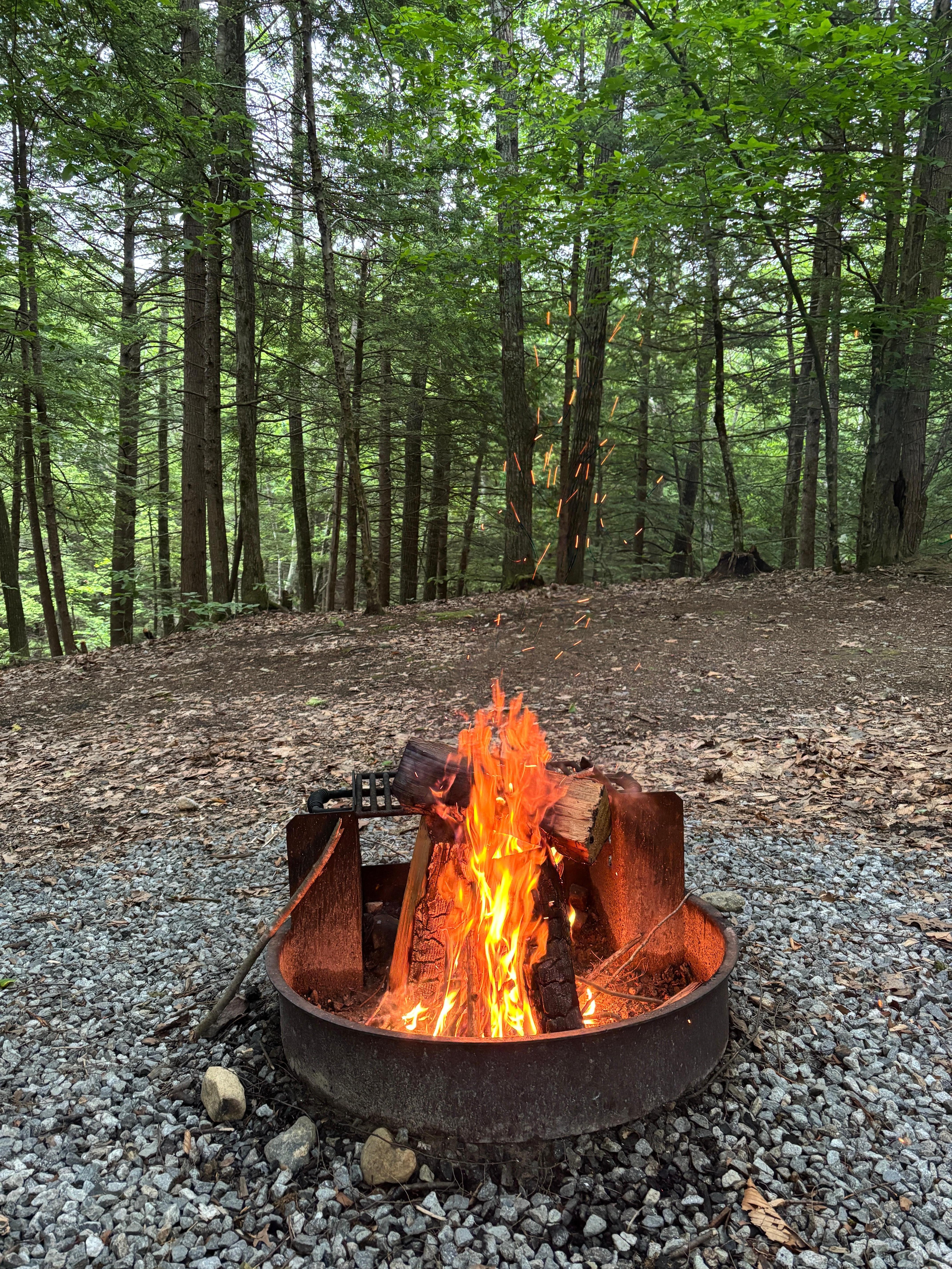 Wood provided
