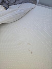 Mattress stain/soil