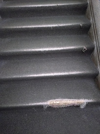 Main staircase from lobby