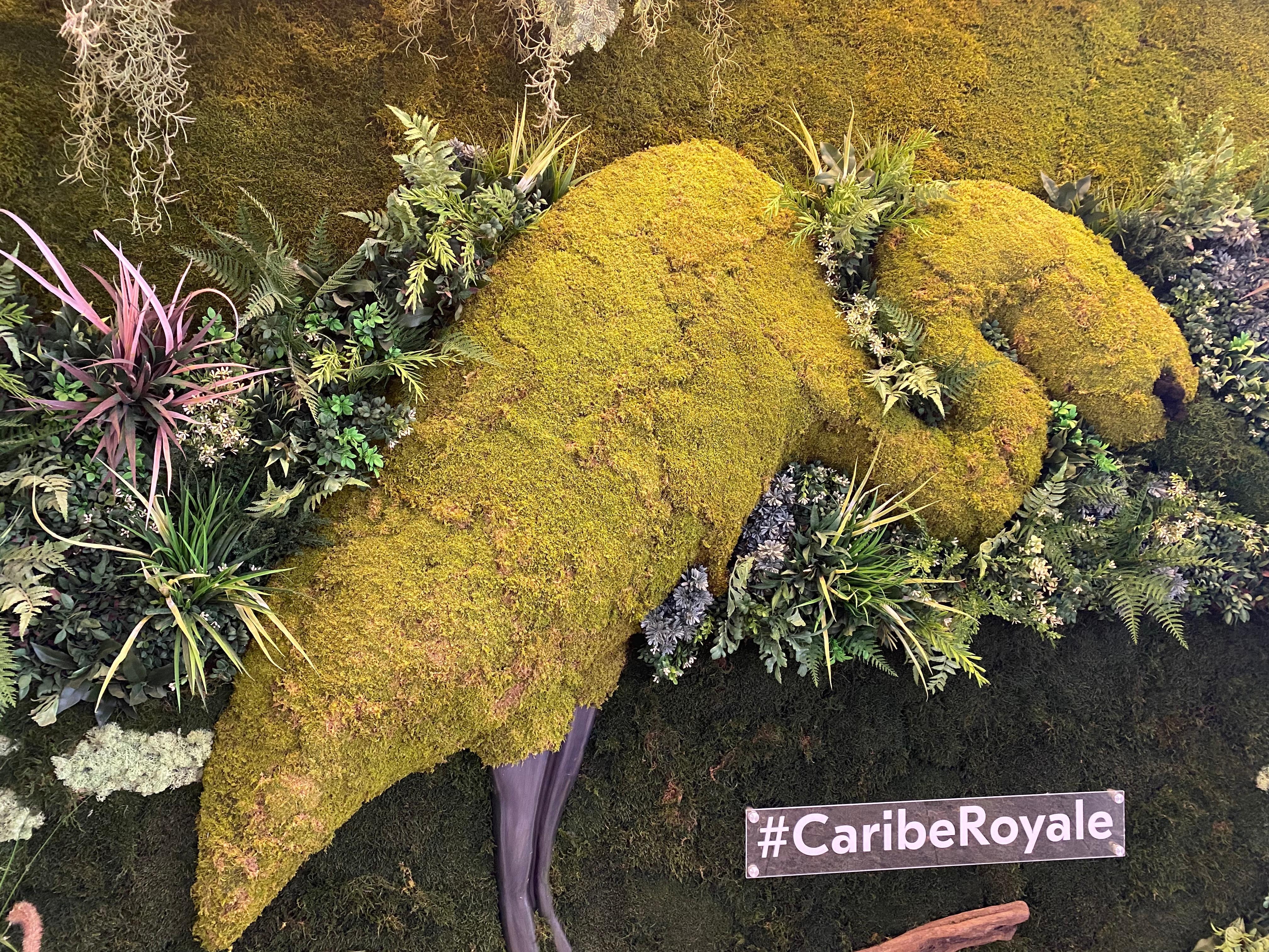 Spotted this playful flamingo made from moss and natural elements—Caribe Royale Orlando is always adding these little touches of nature that make every corner feel special.