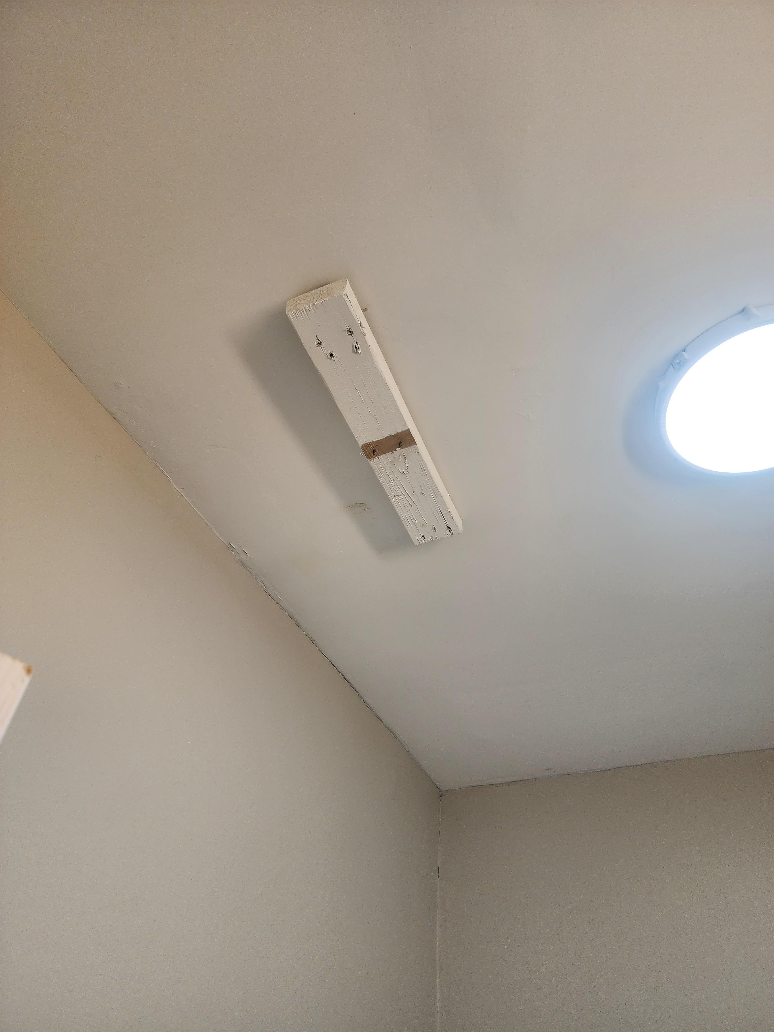 Shower curtain support 