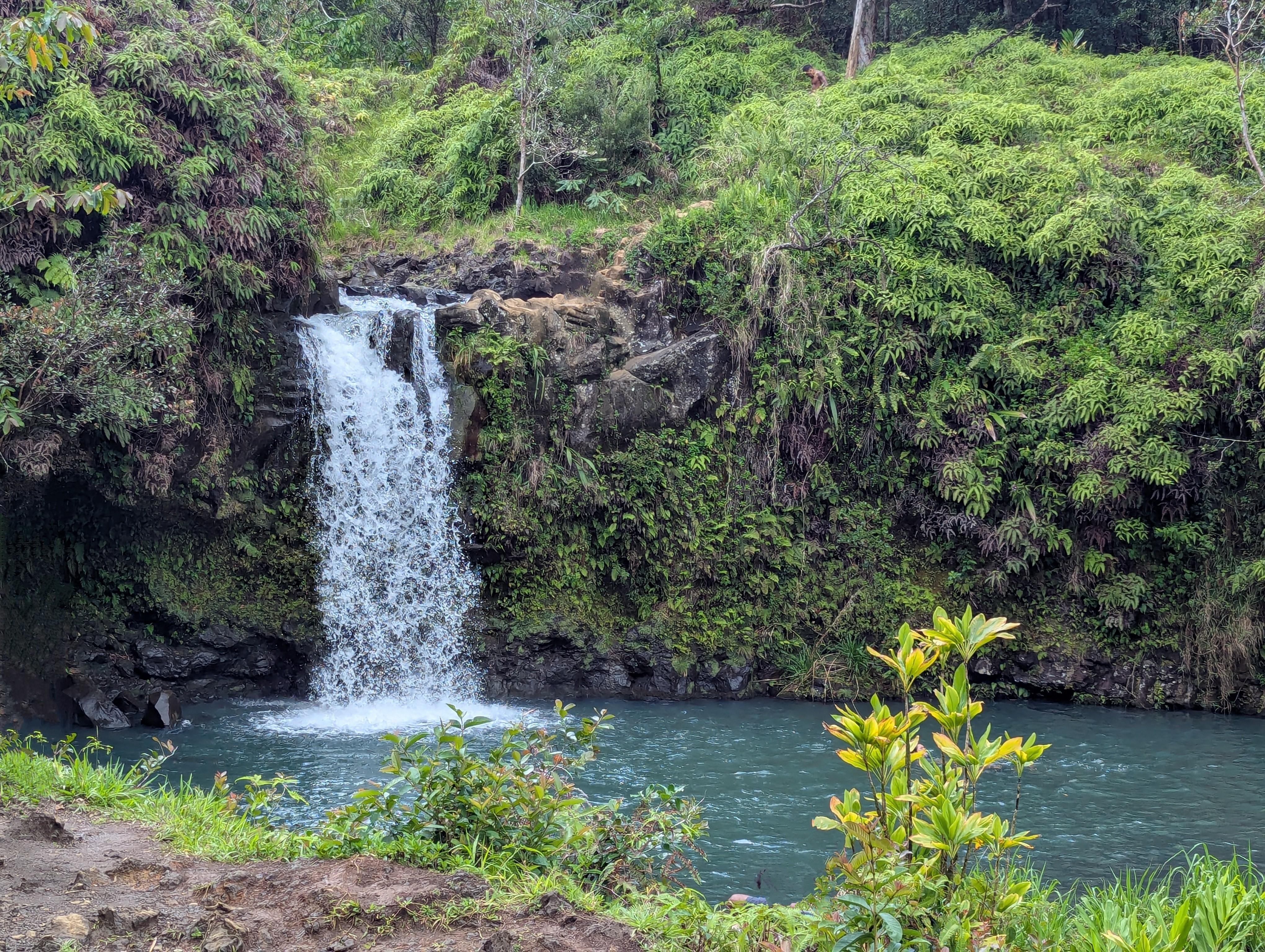 Waterfall in road to Hana