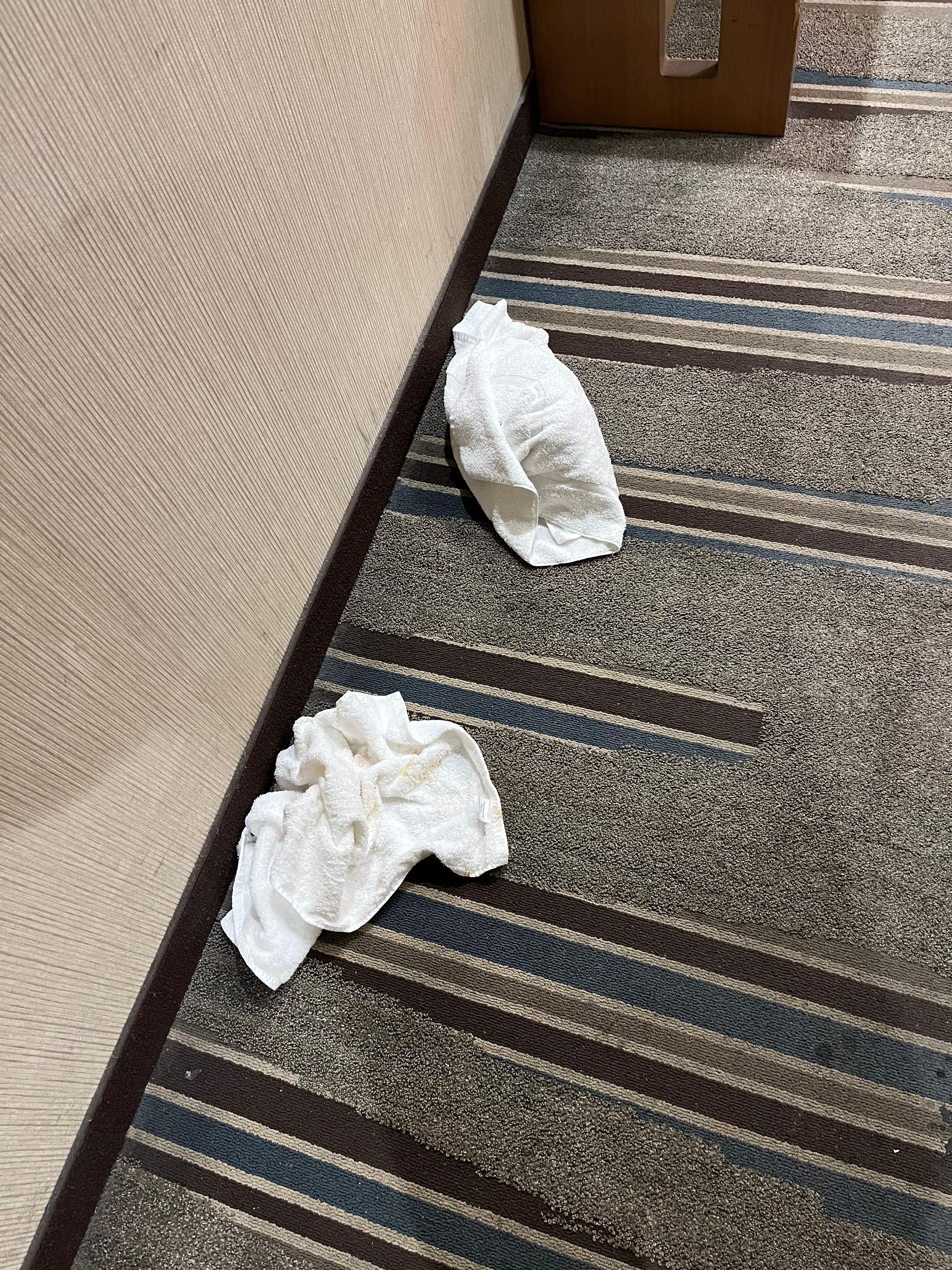 Vomit on towels