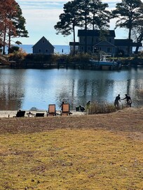 Gorgeous private beach with fresh oysters. Summer months would be a blast here.