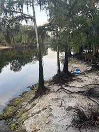Kids tied the paddle board to the roots and would surf the boat waves