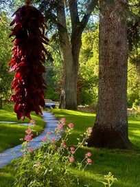 Vacker trädgård på hotellet.