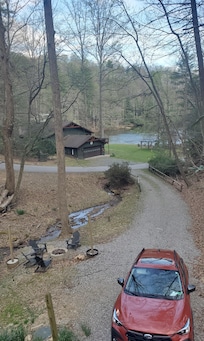 Pond view from front deck area. Integrated family of waterfowl family consisting of some white and mallard ducks, a canadian goose and led by a white goose who had quite the opinion lol