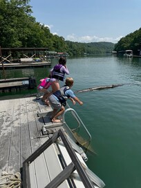 Jumping off the dock. They had a blast walking on the log. Kept them busy all week.