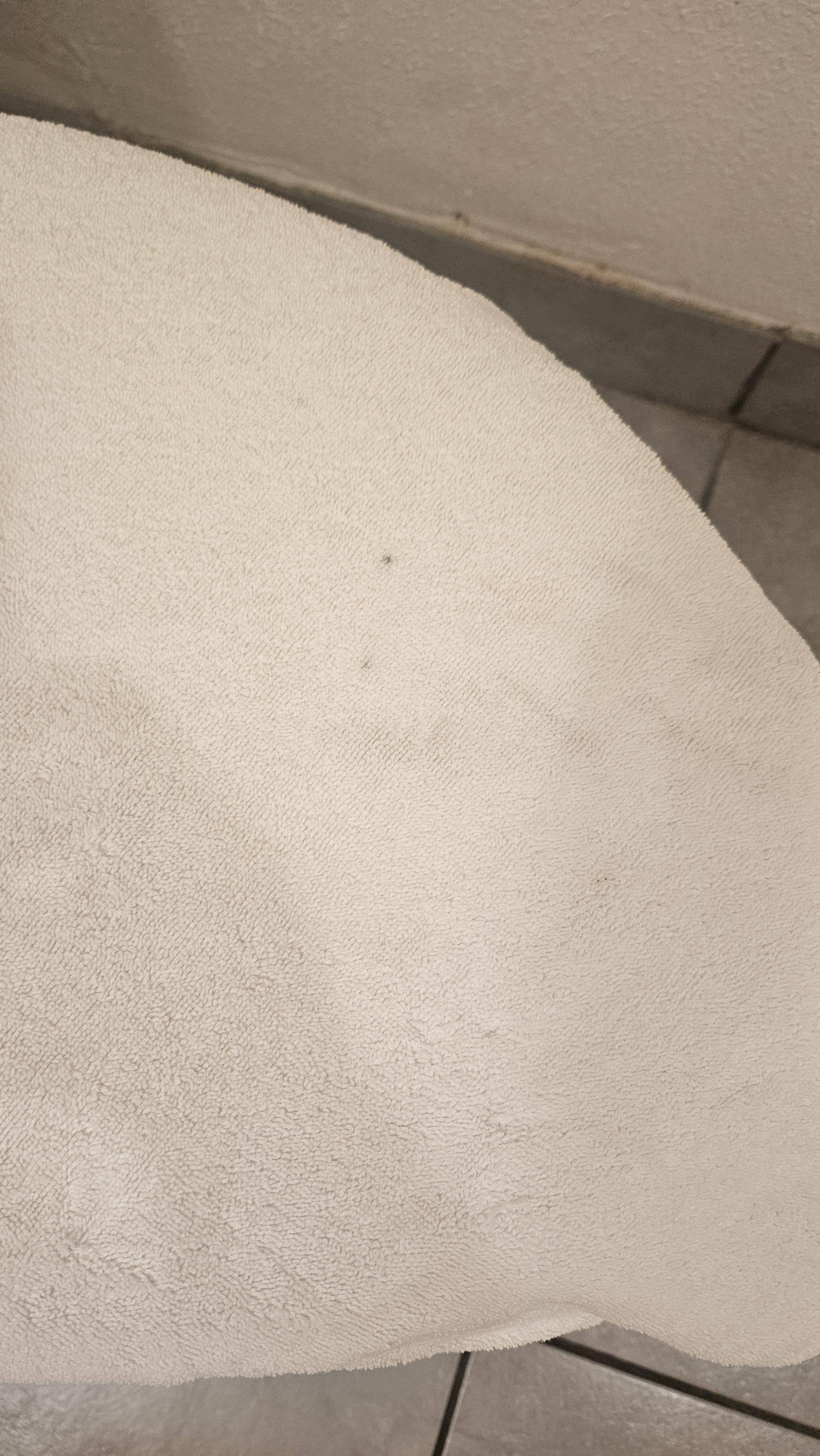 Dirty/stained body towel