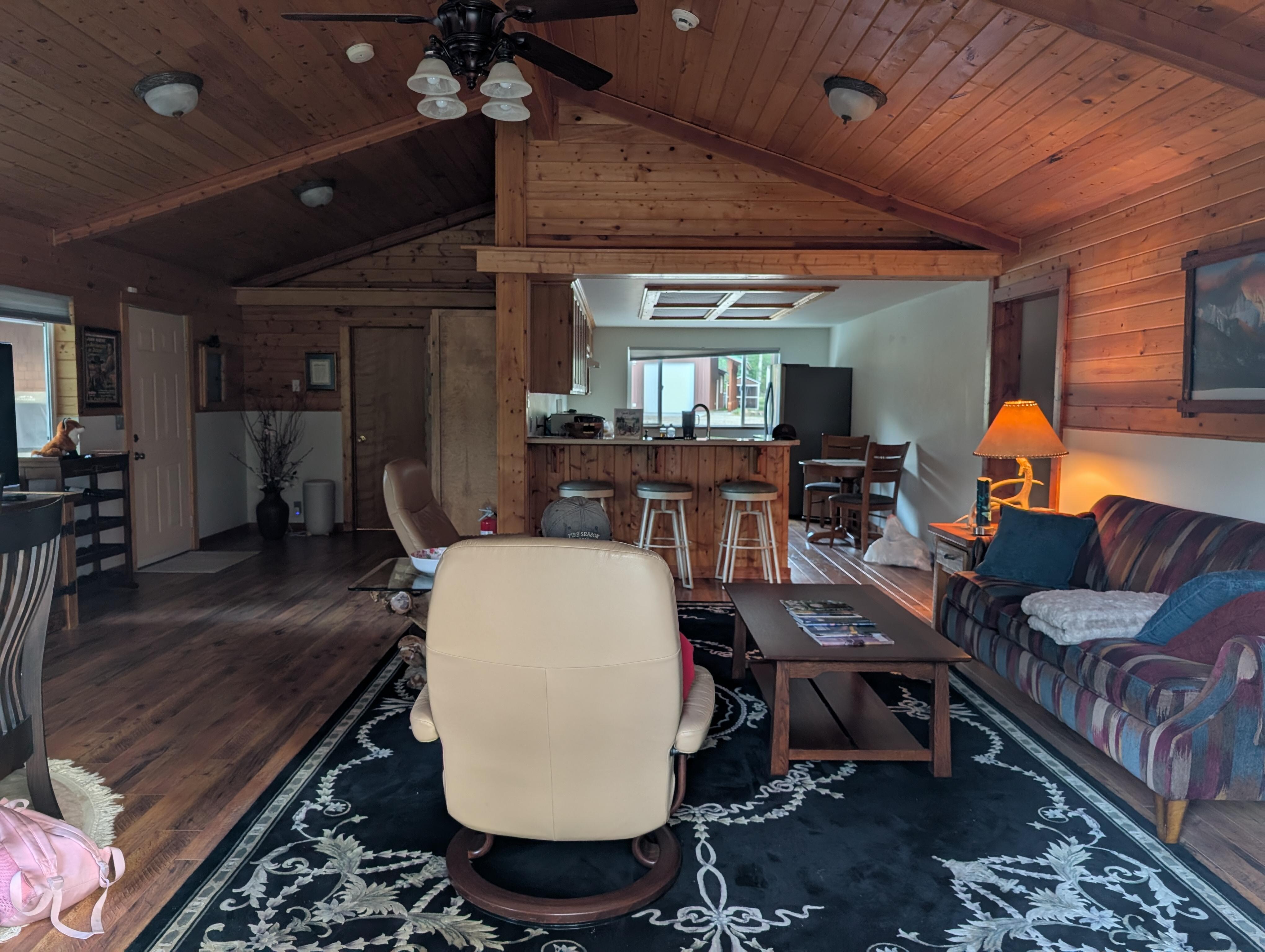 Living area and kitchen