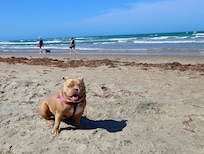 Her first day at the beach.