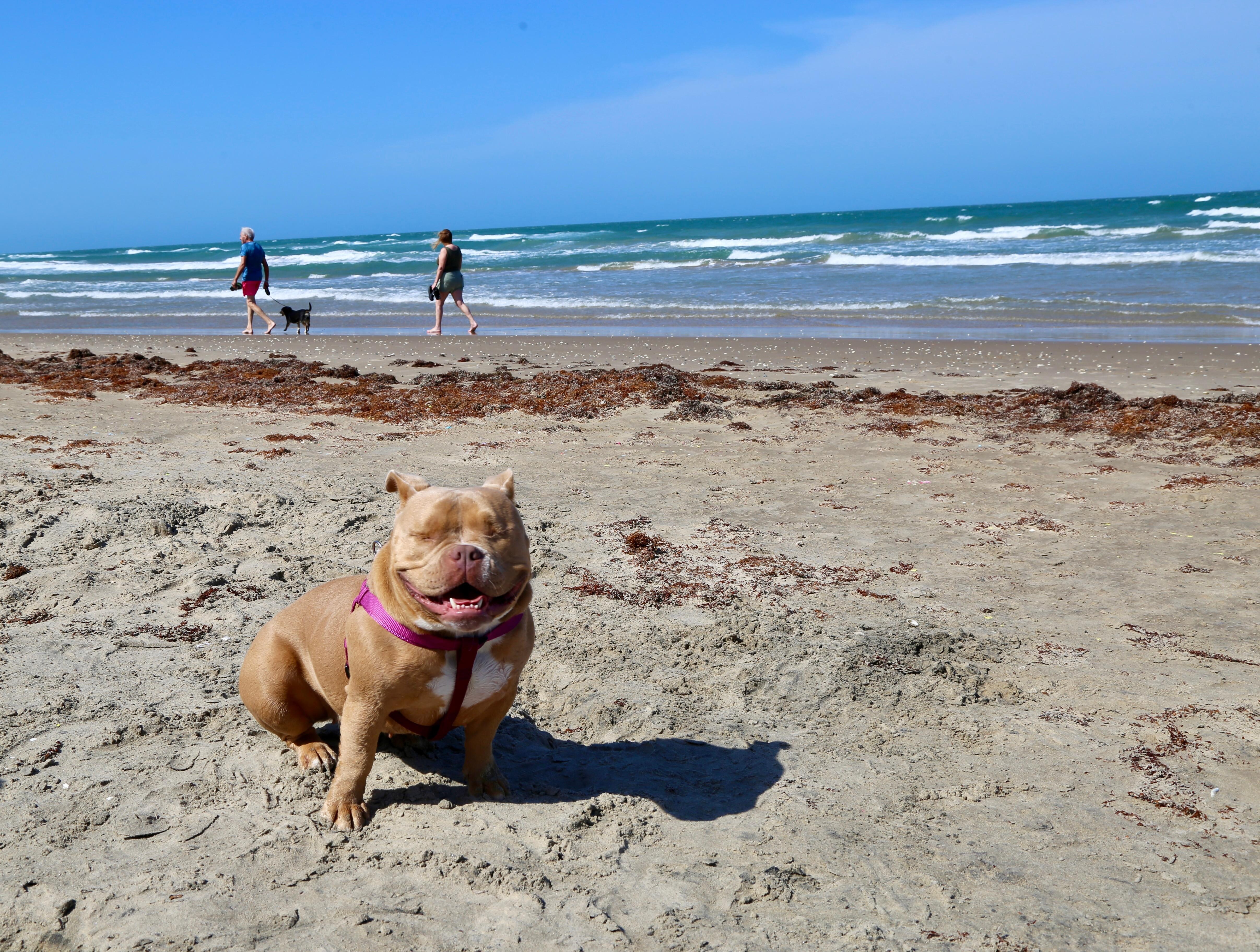 Her first day at the beach.