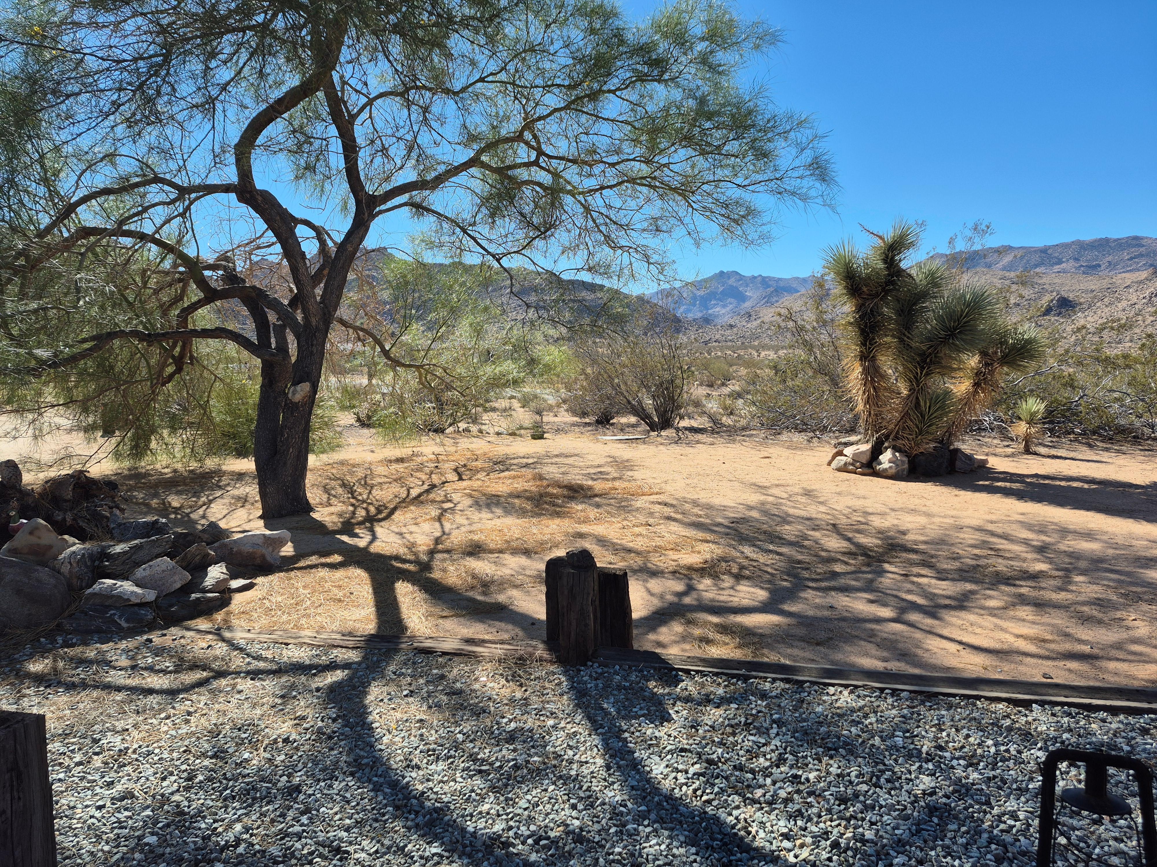 Yard (facing street)