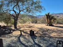 Yard (facing street)