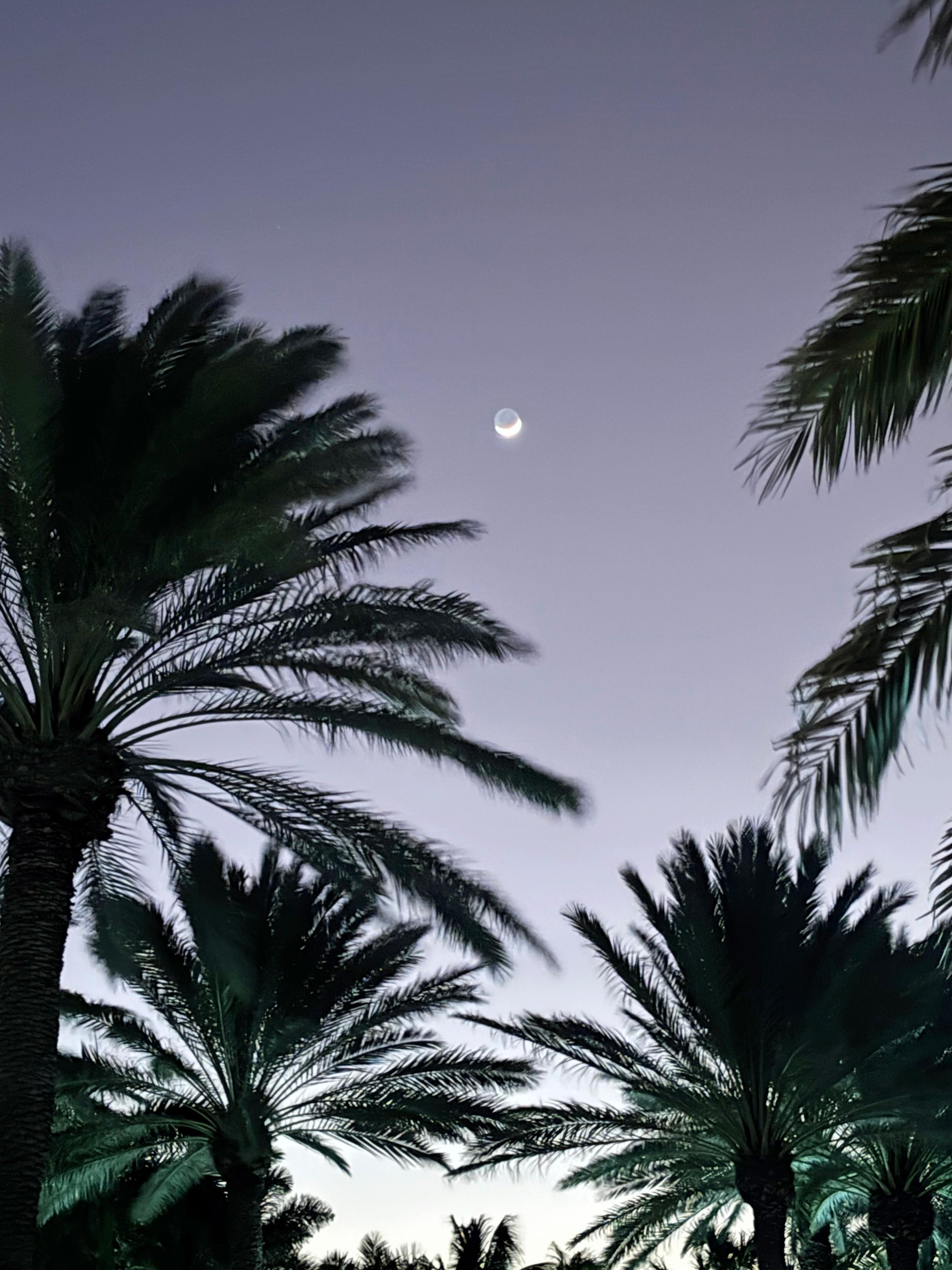 Night sky outside of condo