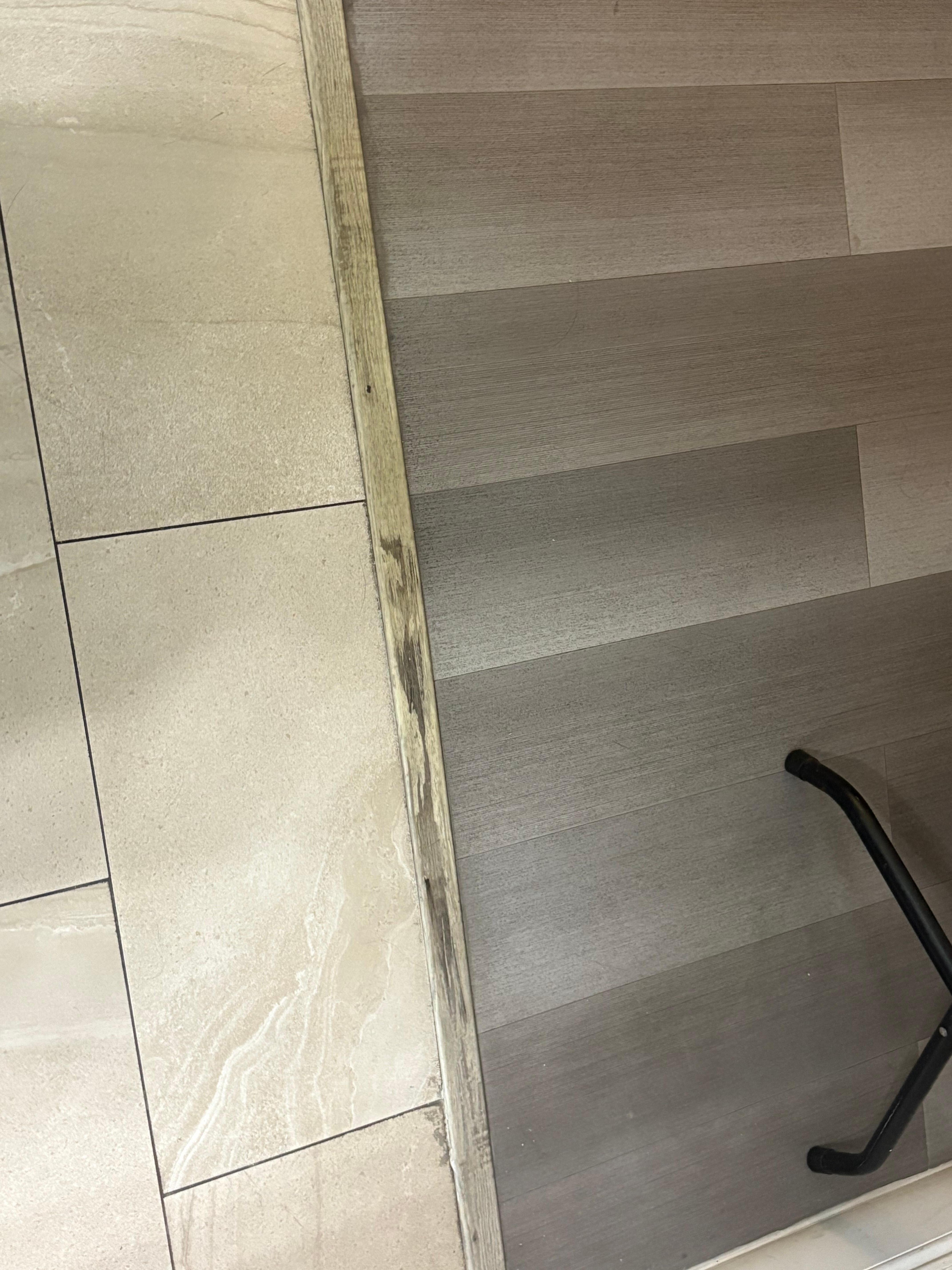 Mold on base board