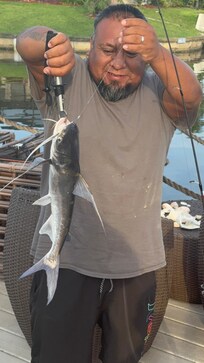 Cool catfish