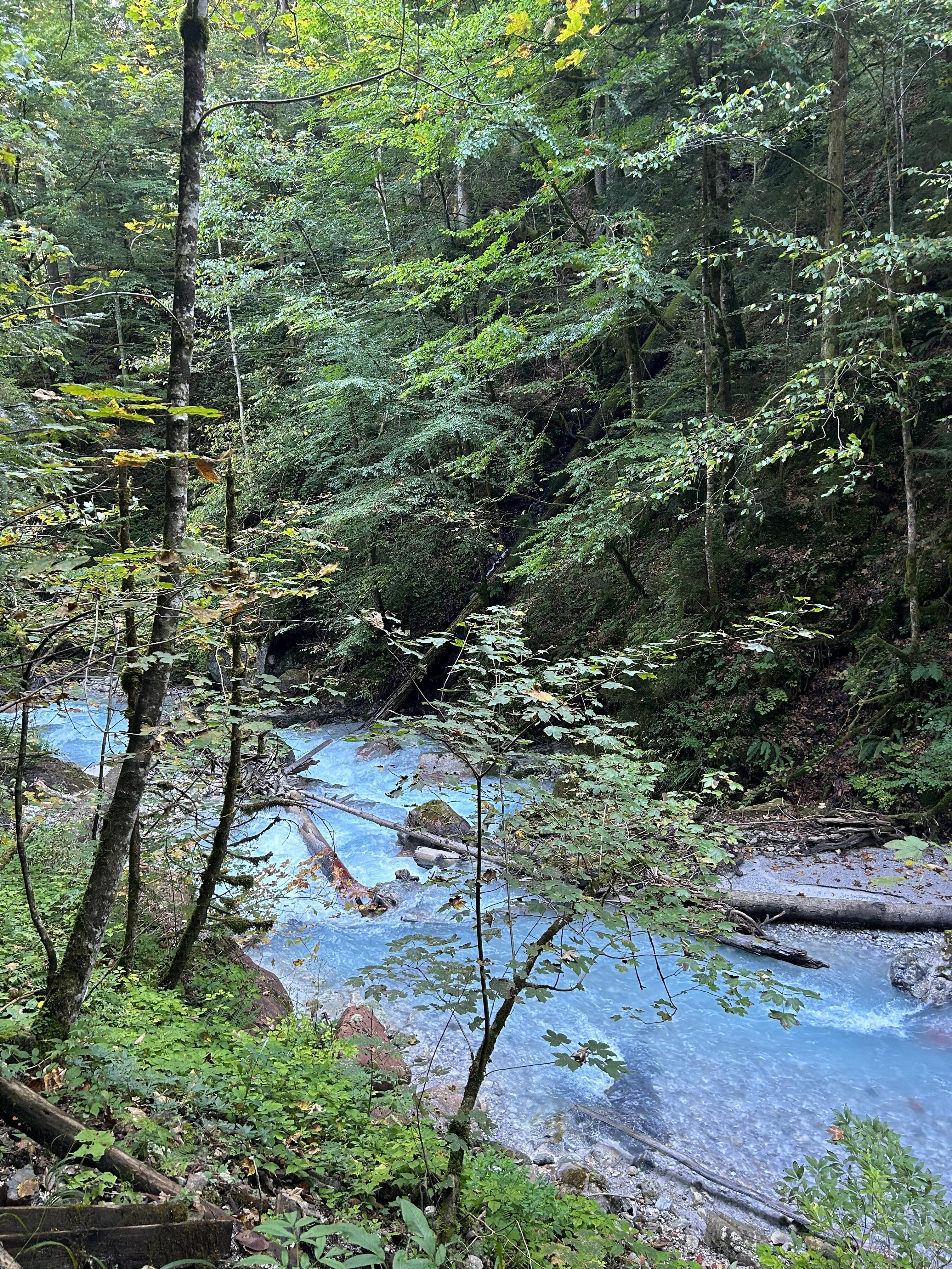 The river across the street