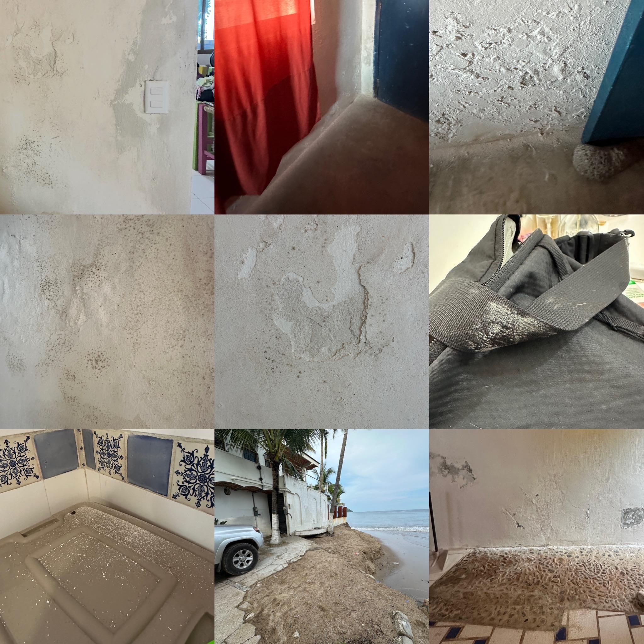 Mold and paint chipping 
