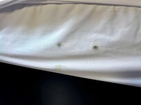 Mold on bedsheets