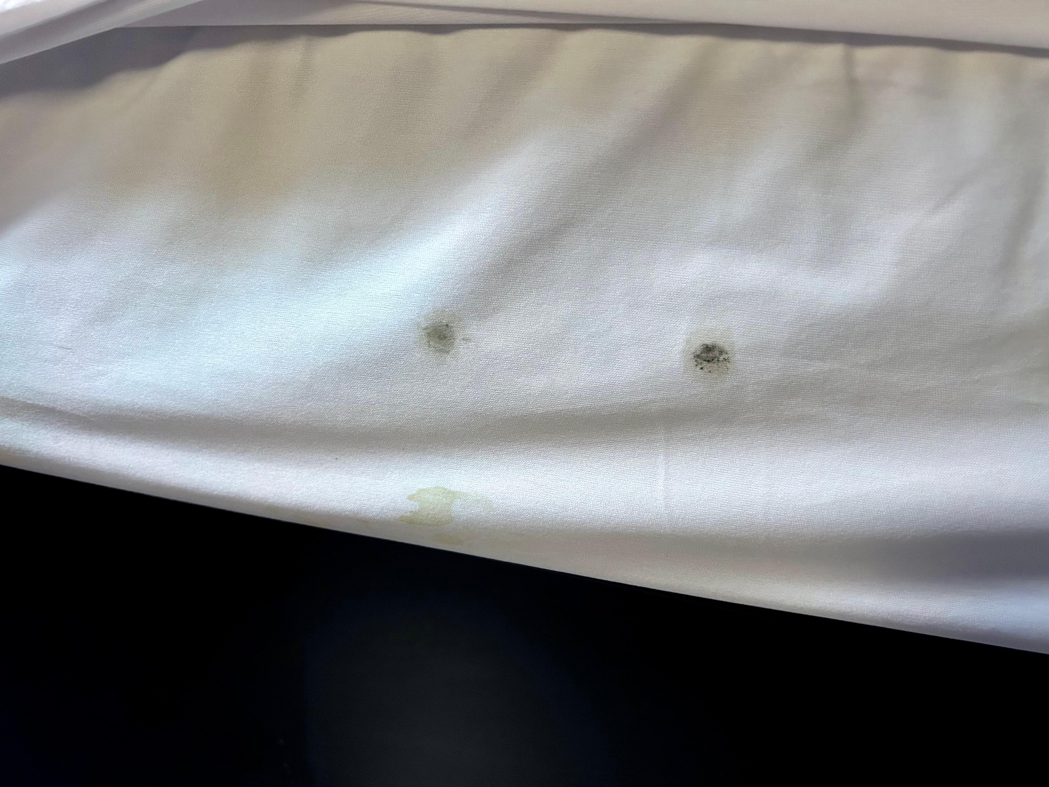 Mold on bedsheets