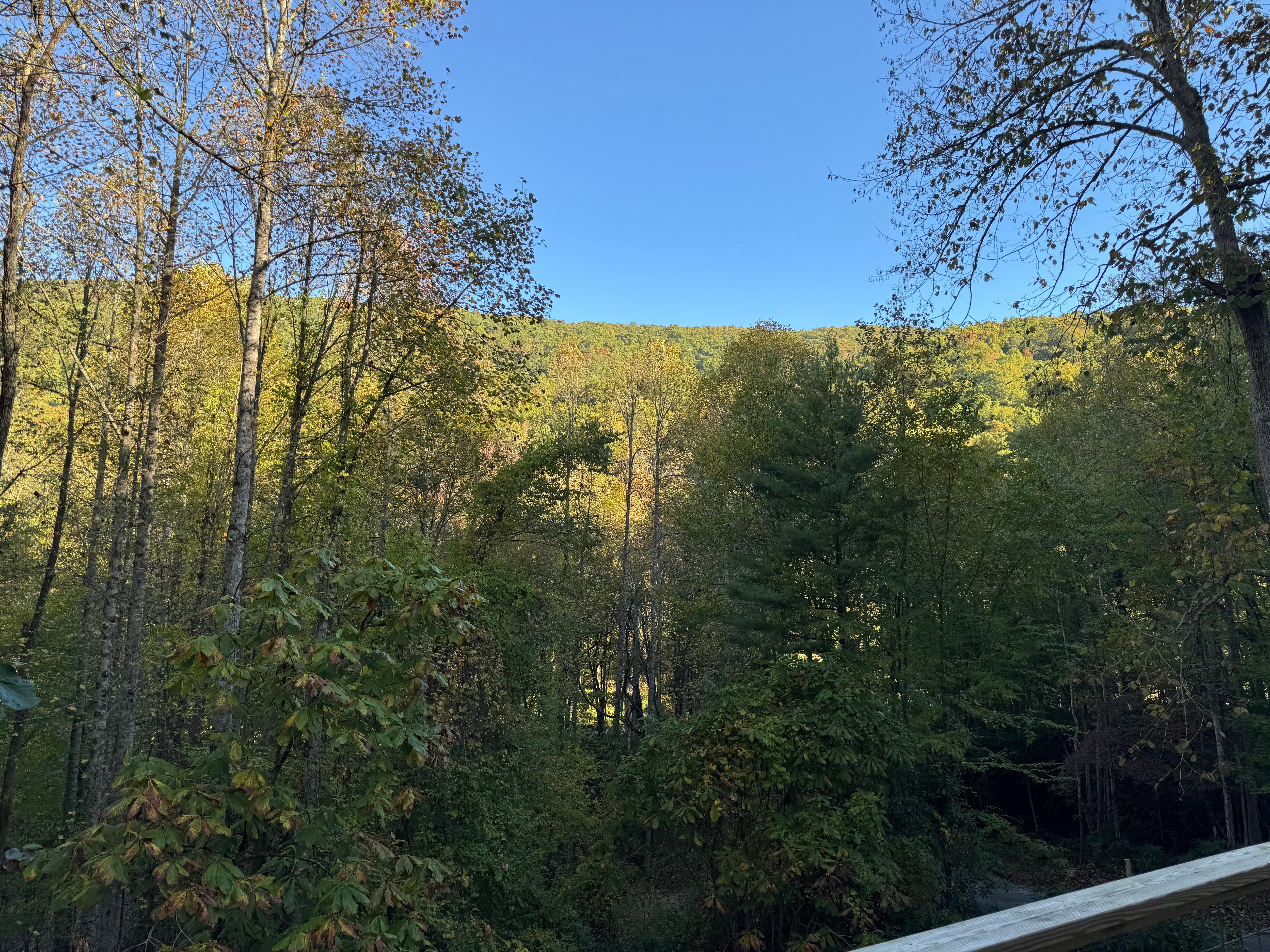 View of early morning sun shining on the mountain from the deck