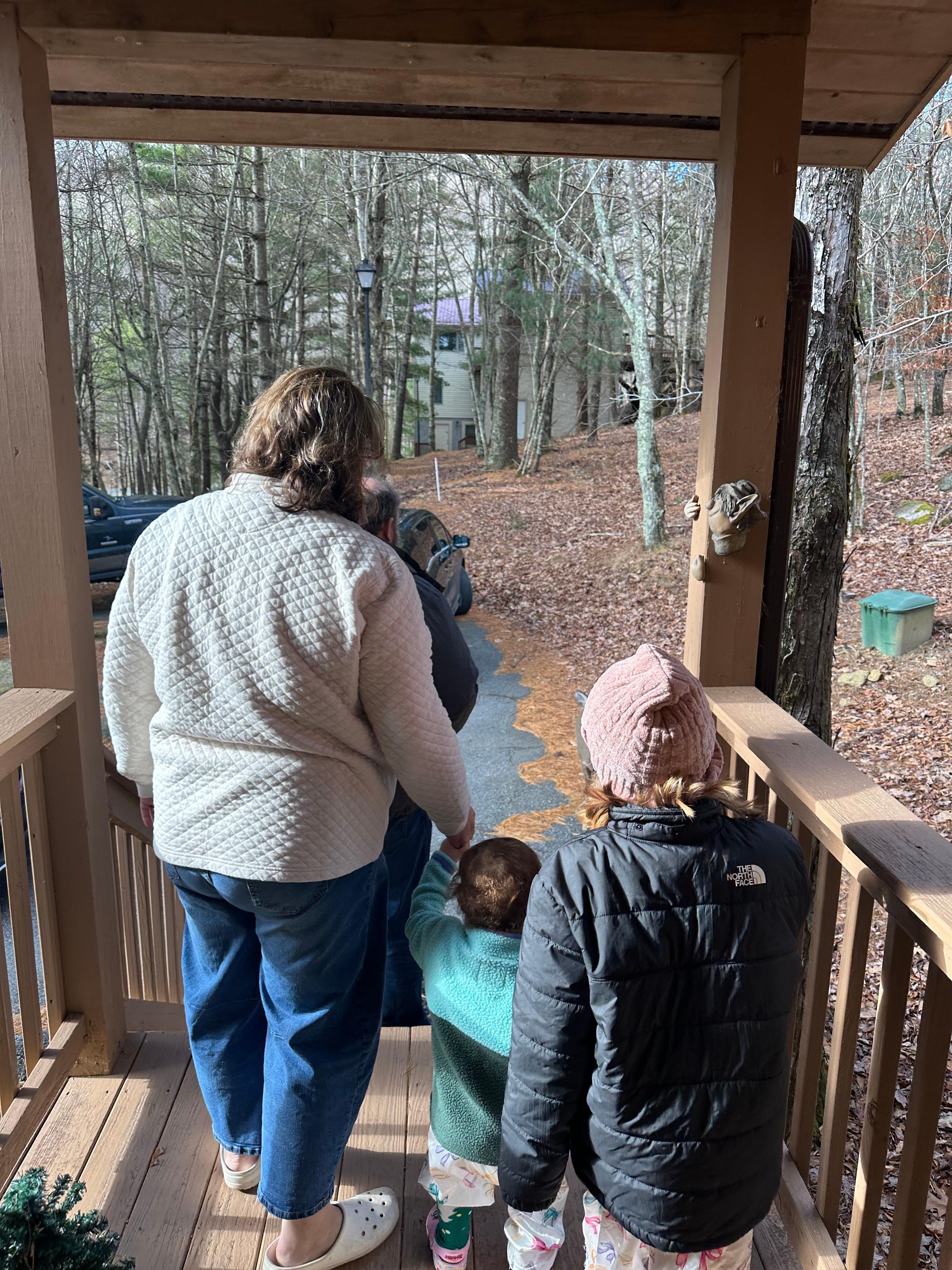 Deer were a fun addition and ability to feed them!