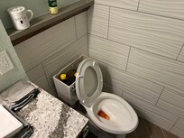 Winterized toilet no water turned on