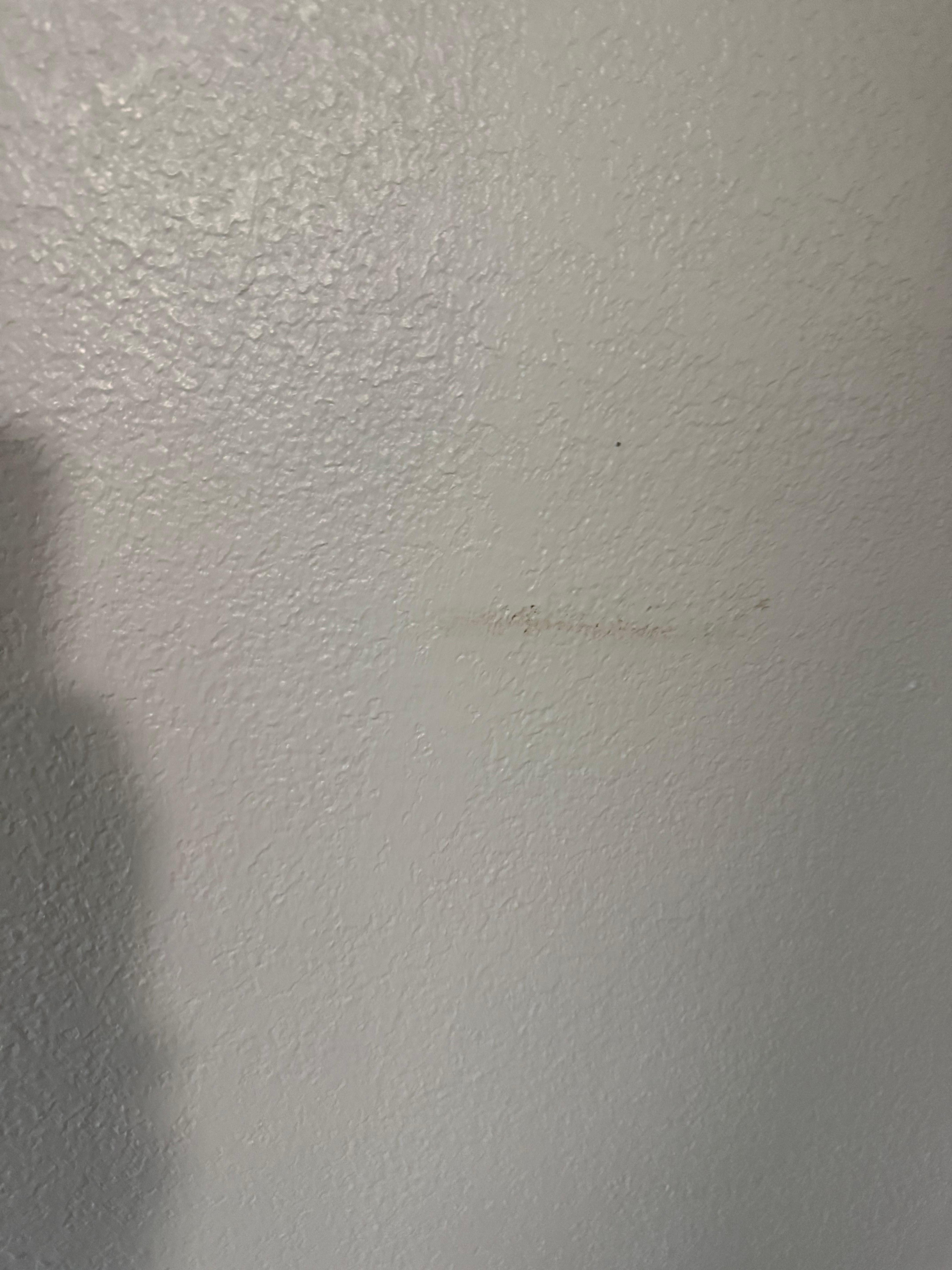 The poop on the wall 