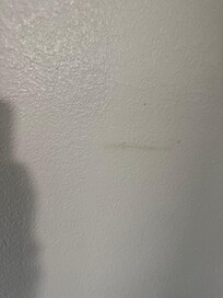 The poop on the wall