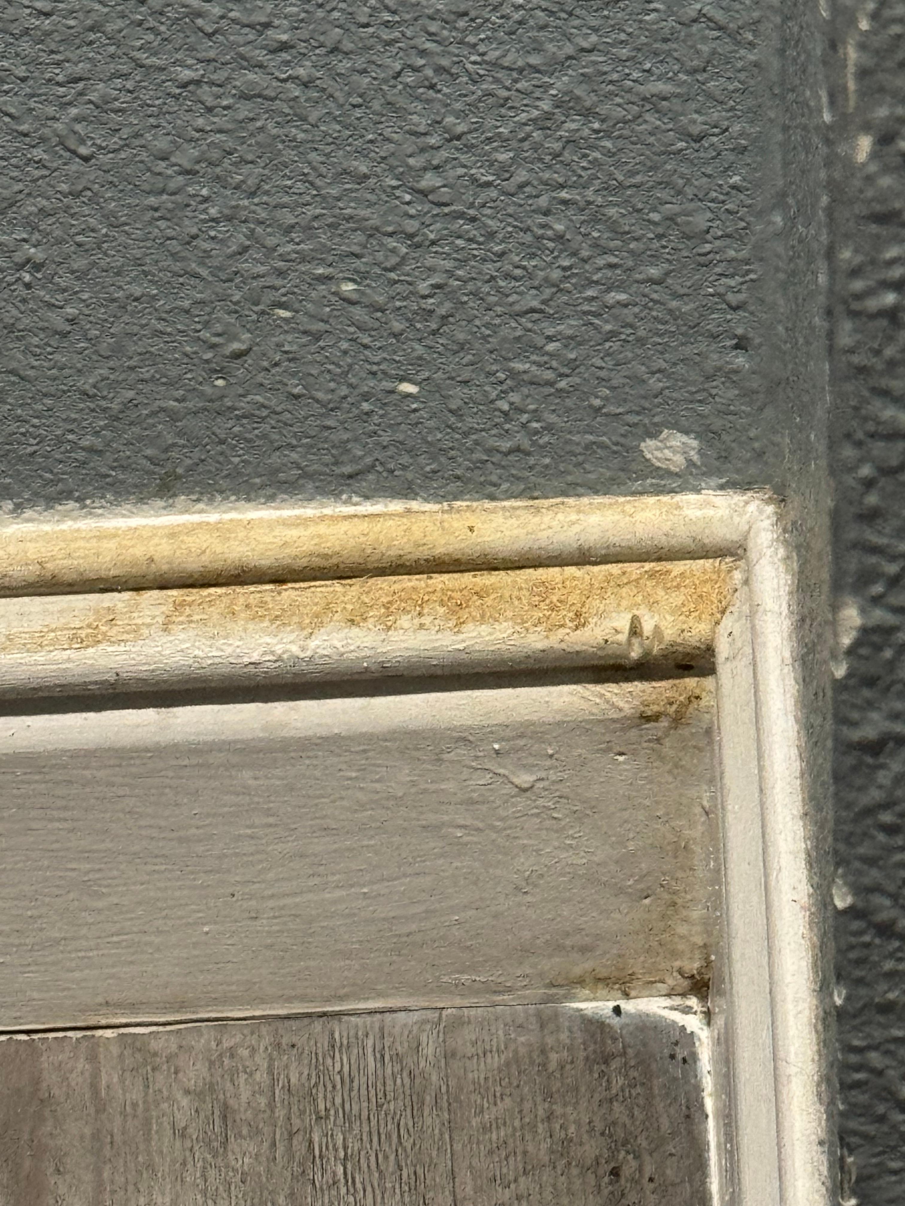 some disgusting filth on wall near bed