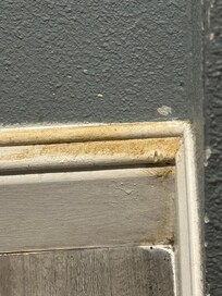 some disgusting filth on wall near bed