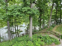 Back deck view