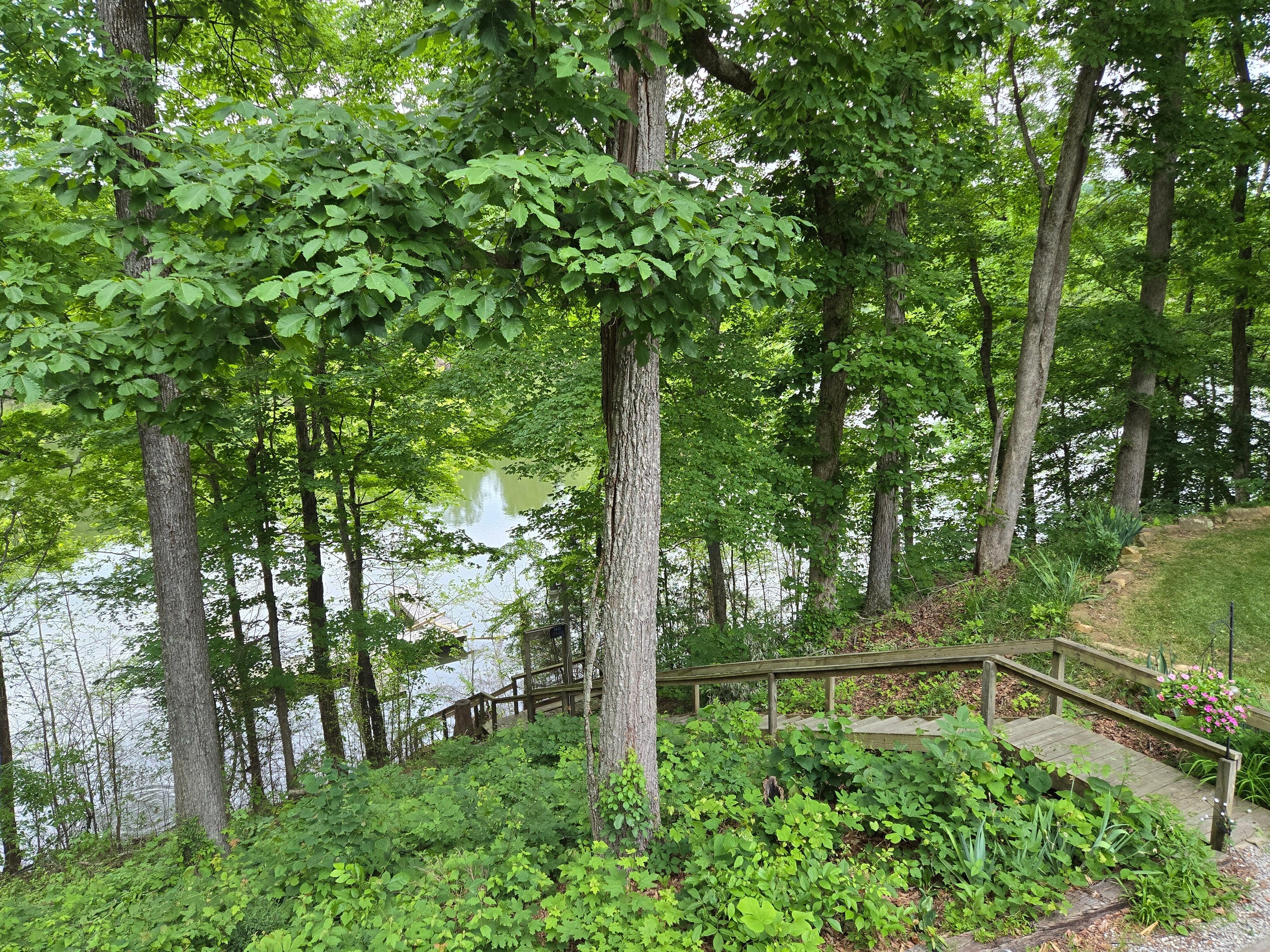 Back deck view