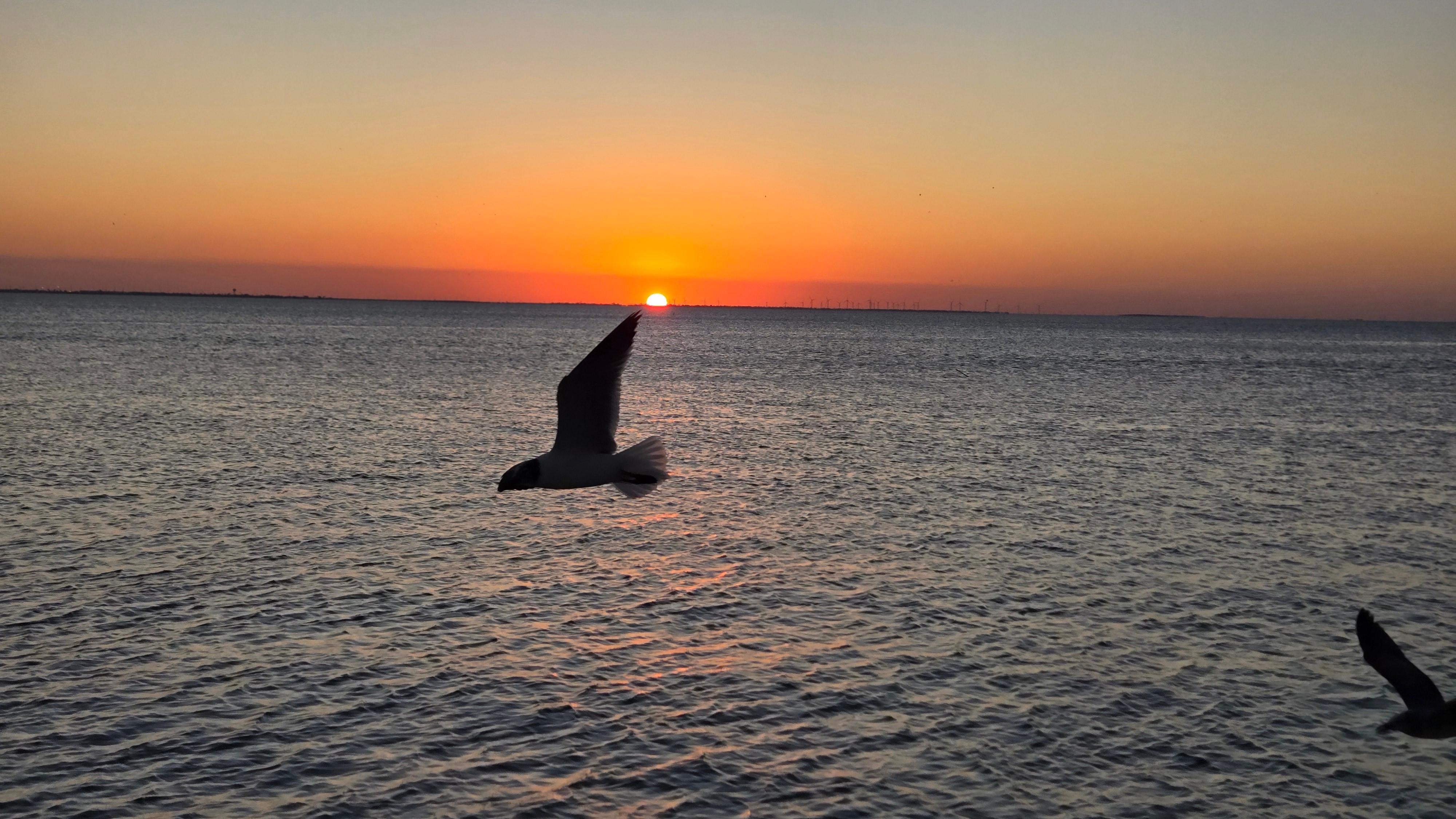 Sunset from Louie's Backyard Restaurant 