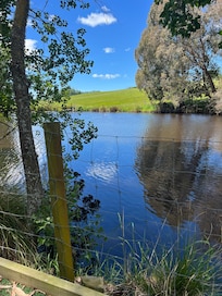The pond in the early morning.