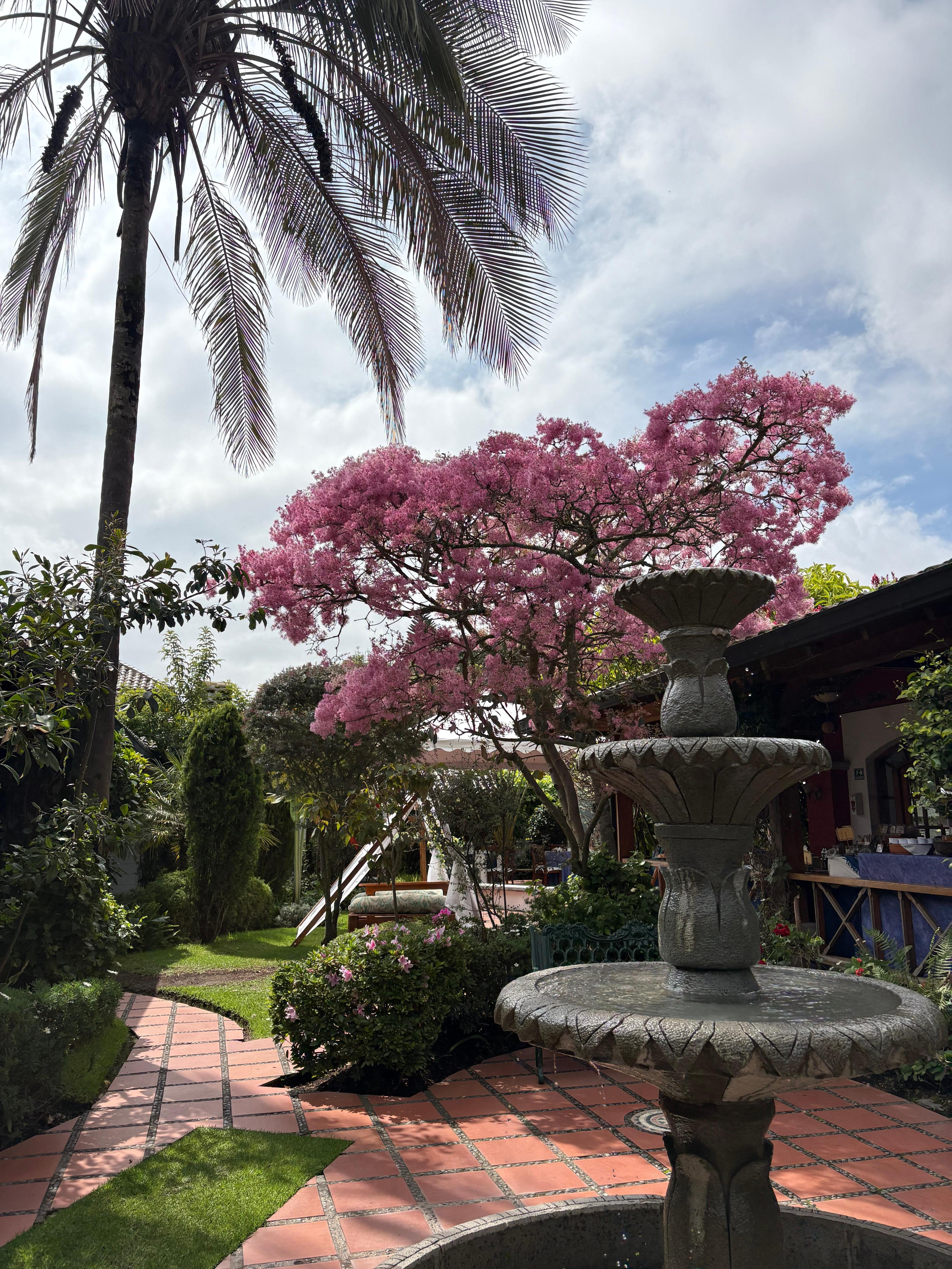 Wonderful spacious landscaping!