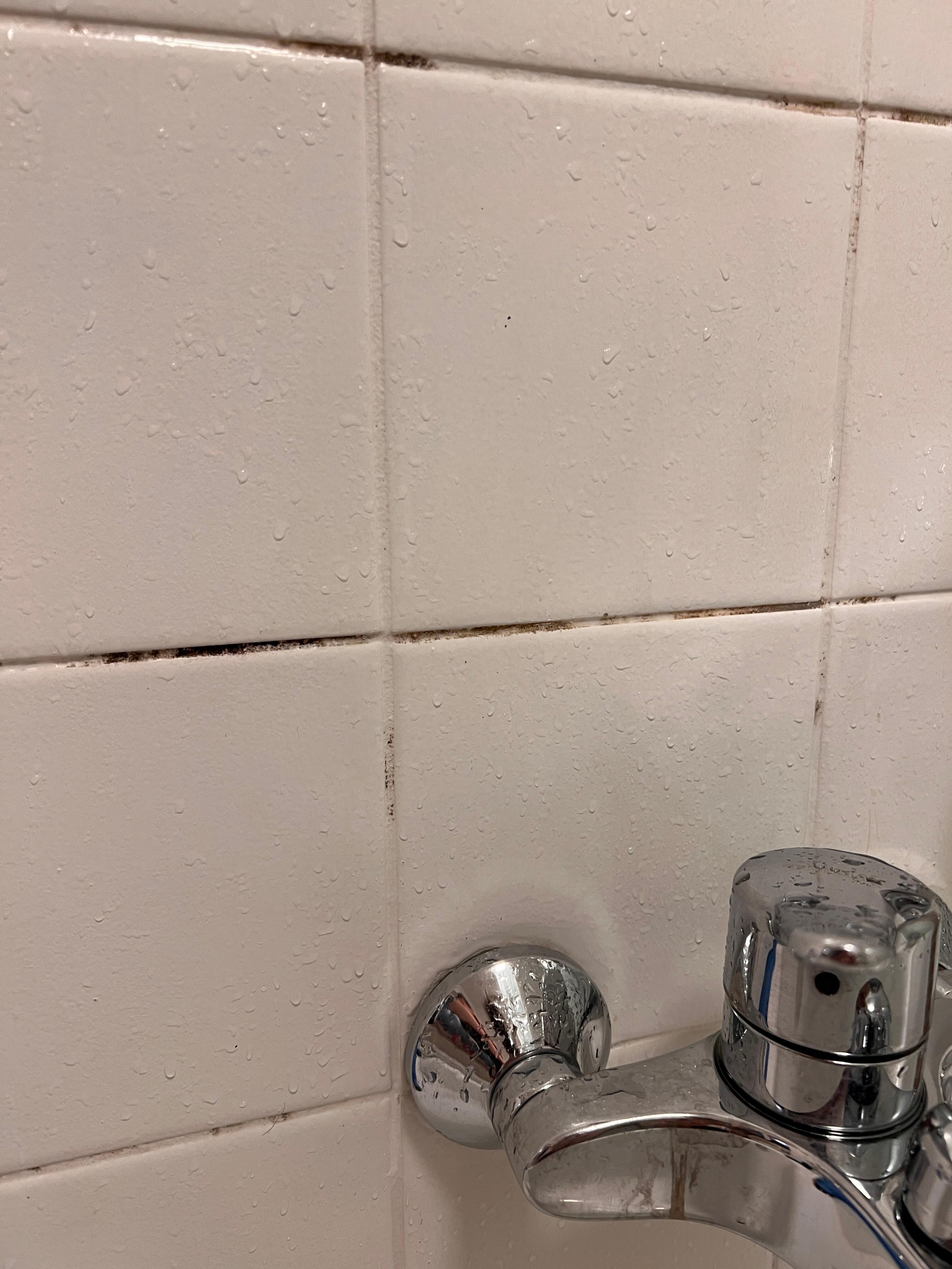 Schimmel in der Badewanne