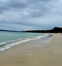 2.2 km Stretch of Collingwood Beach