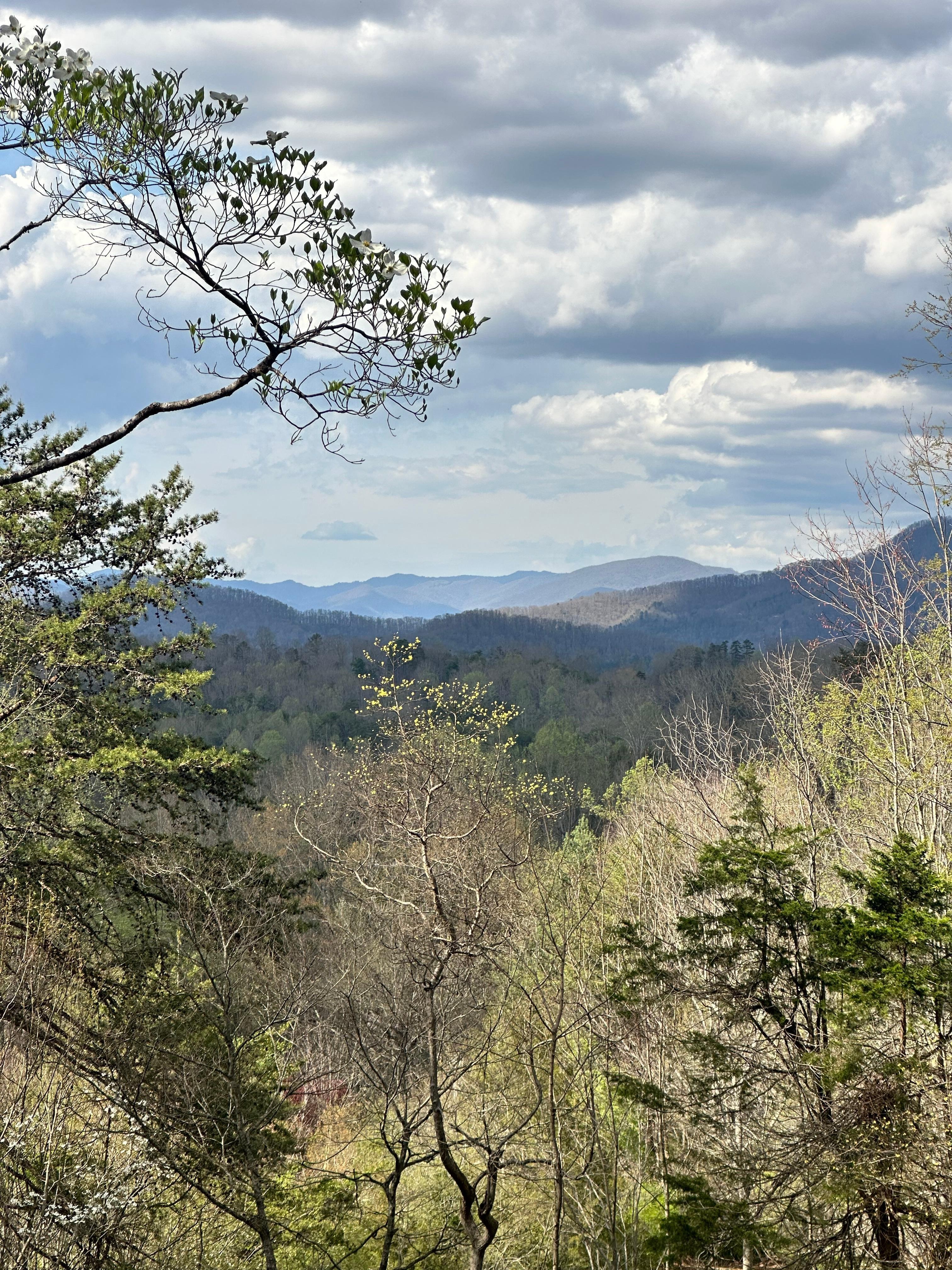 View from the deck and hot tub!