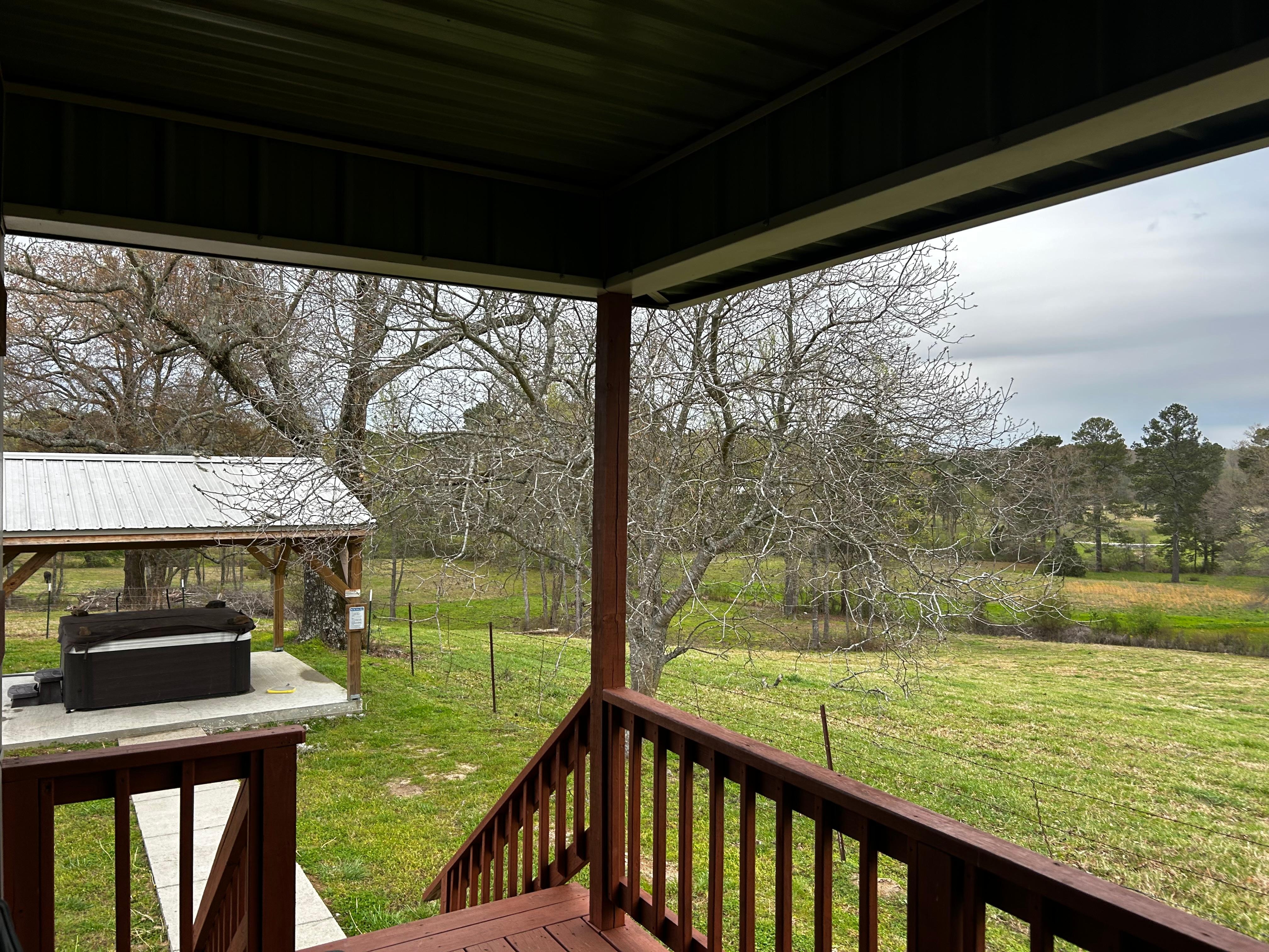 View from the back porch