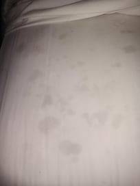 Don't know what that stain is but I got a hunch