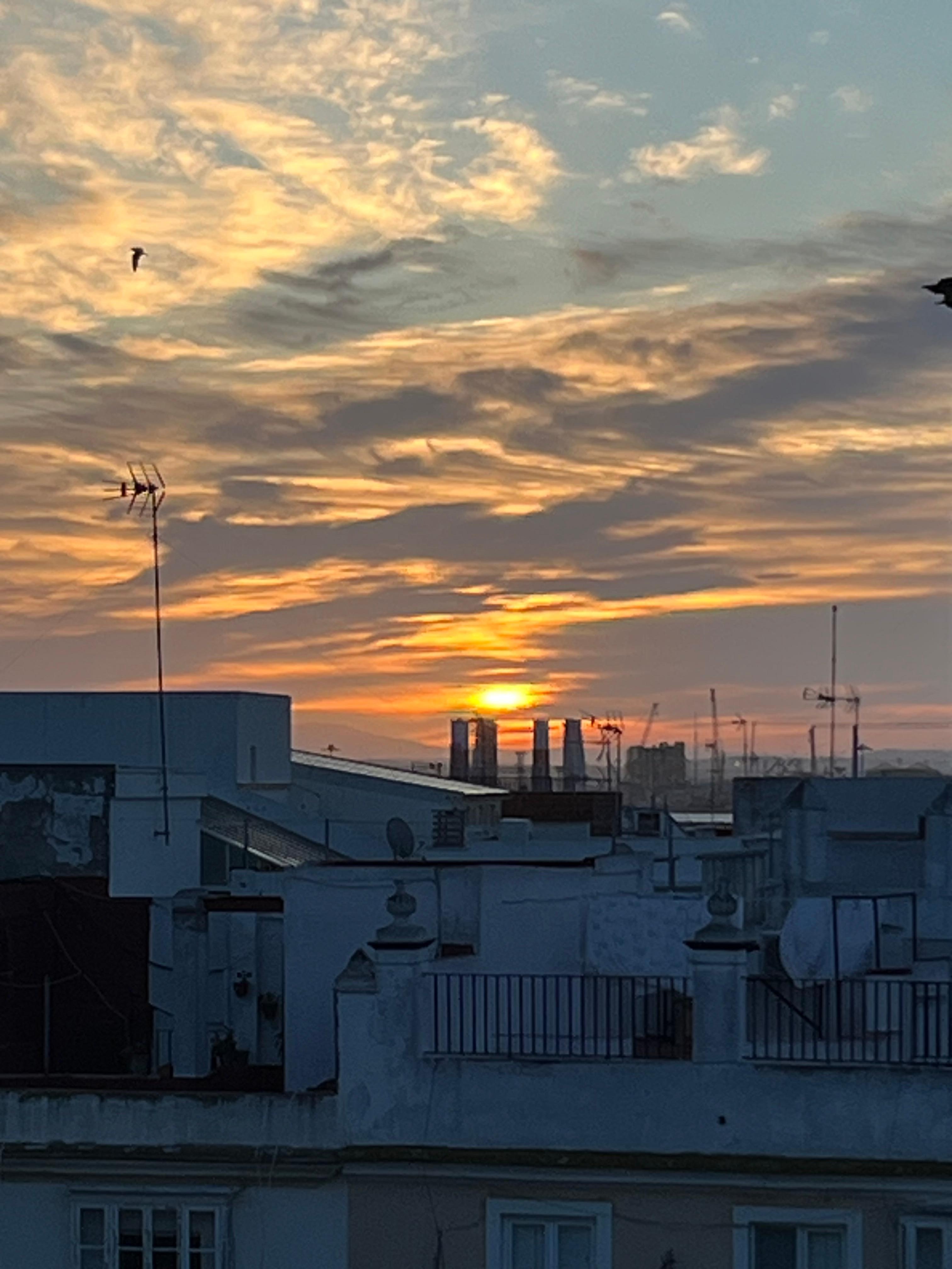 Tidlig morgenlys på terrassen
