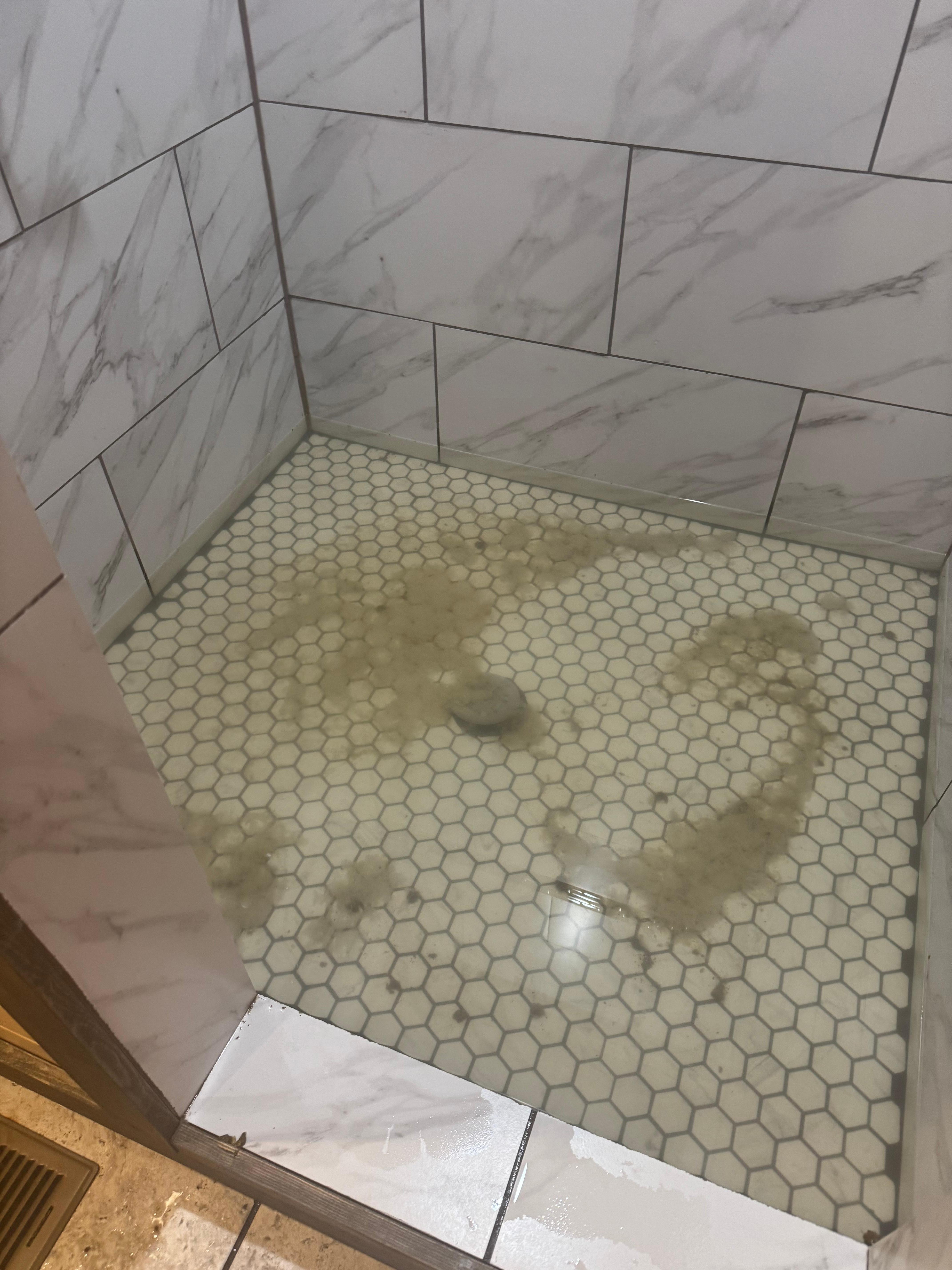 Backed up shower with sewage 
